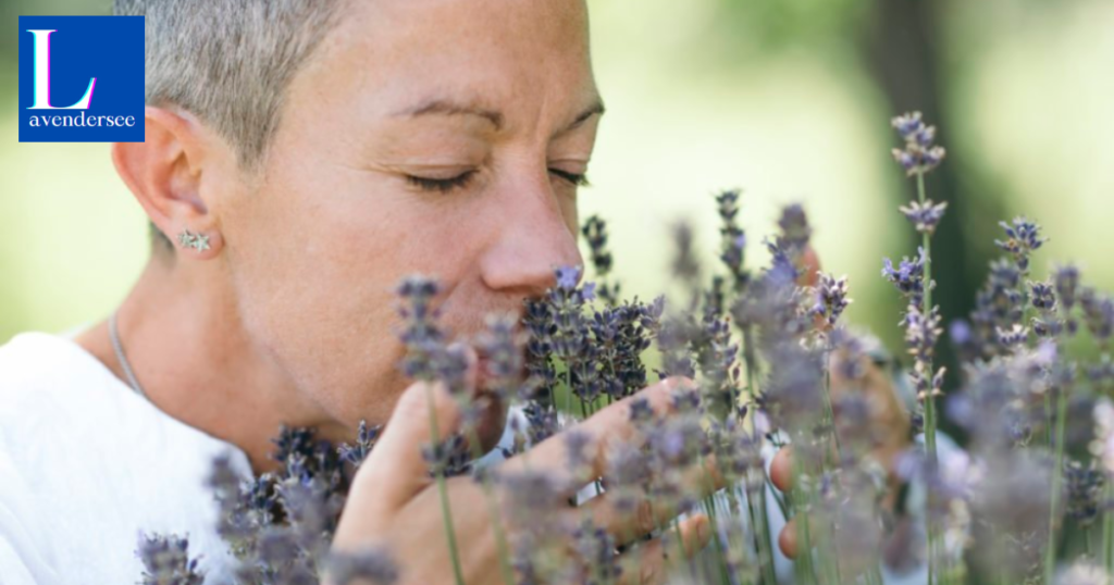 How do you burn lavender safely at home