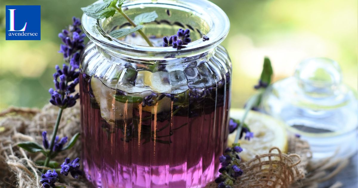 How Often To Water Lavender? A Complete guide